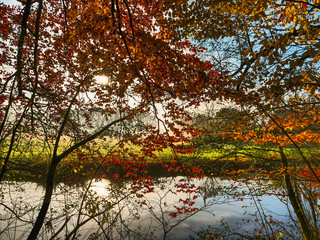 Herbststimmung an einem Fluß im Münsterland