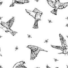 Vintage vector black and white hand drawn seamless background with flyes and sparrows . 