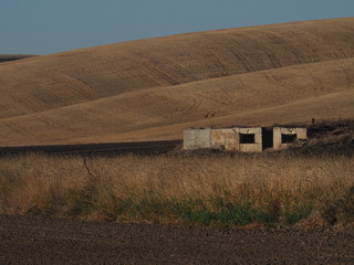 Old, deserted house in the harvested wheat fields of the Palouse