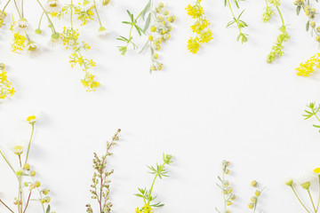 wildflowers on white paper background