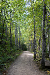A path in a national park in the Charlevoix region of Quebec, Canada. 