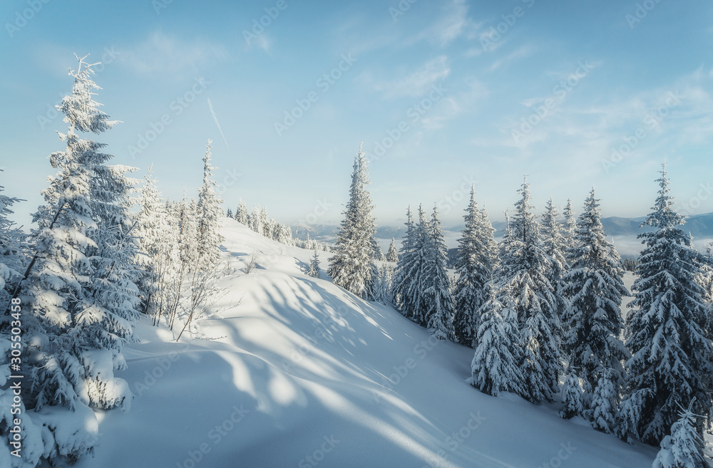 Fototapete Wonderful wintry landscape. Winter mountain forest. frosty trees under warm sunlight. picturesque nature scenery. creative artistic image. Nature background. Christmas concept. for holiday postcard