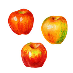 Three apples isolated on a white background.