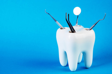 Dental tooth model with metal medical dentistry equipment