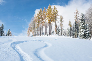 Austria, Salzburg State, Duernbachhorn, Heutal in winter