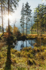 Awesome alpine highlands in sunny day. Scenic image of fairy-tale Landscape in sunlit with Majestic Rock Mountain on background. Wild area. Hintersee lake. Germany. Bavaria, Alps. Creative image