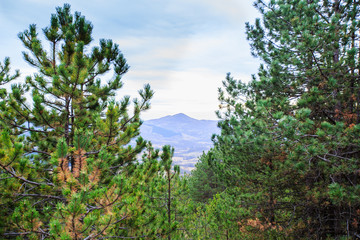 Fototapeta na wymiar Panoramic View of the Mountain Natural Landscape