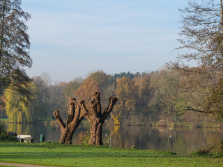 Herbst am See im Münsterland
