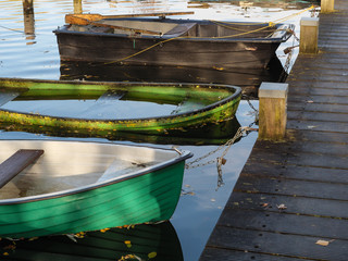 Herbst am See im Münsterland