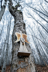 Symbolic angel on the tree, Strazov Mountains, Slovakia