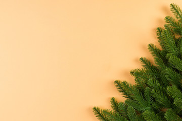 Top view of green fir tree branches on colorful background. New year holiday concept with empty space for your design