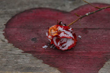 faded rose on the background of the heart, faded and passed love, past love of summer, summer...