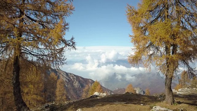 4k aerial drone low flight forward footage in autumn season with its  colors of Valsassina mountains landscape in the North of Italy.