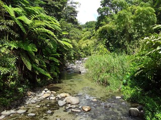 Martinique