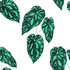Seamless pattern with tropical leaves. Beautiful allover print with hand drawn exotic plants. Summer nature jungle print. Can be used for any kind of a surface design. Vector.