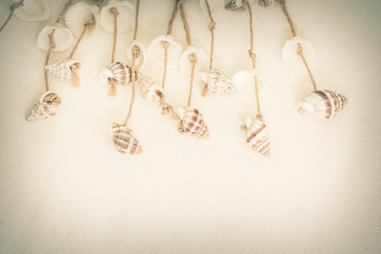Shells tied with rope on a white wooden decoration.