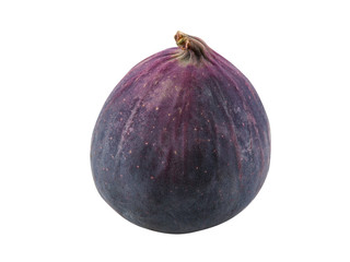 Purple fig isolated on white with copy space for text or images. Soft, sweet fruit, skin is very thin, has many small seeds inside of it. Close-up.