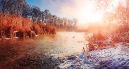 wonderful winter landscape. Frosty sunny morning on the river. wild ducks flying over a river in fog. color in nature. Winter's Tale. winter scene.