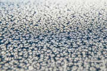Winter drawing. Christmas background. Ice crystals on a glass.