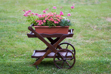 Colorful flowers on trolley in the garden.