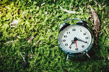 Alarm clock lay on the ground with moss