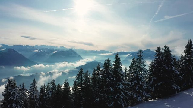 beautiful winter holiday destination in the switzerland alps rigi, freshly snow covered pinetree forest with mountain scenery and dramatic clouds