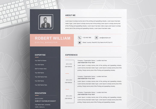 Resume Layout with Dark Blue Sidebar and Pink Accents