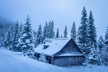 Wooden house in winter mountains. Village house on winter ski resort. Snowy mountain forest. Beautiful frosty trees