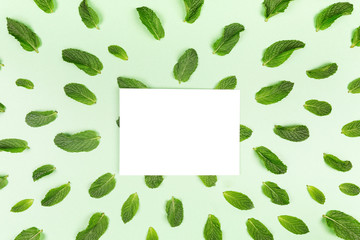 Blank white card and mint leaves pattern on the trendy solid green backdrop, place for text