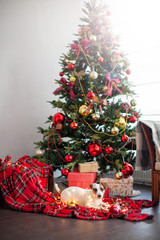 Dog near christmas tree