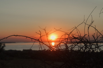  Dawn over the river.Close-up of flowers, leaves and branches on the field.