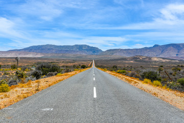 A scenic road in Western Cape, South Africa