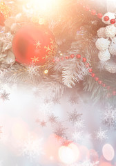 Winter Christmas background, sunlight. Snowflakes, spruce fir in the snow. Freezing day. A branch of spruce, pine. Natural floral background.