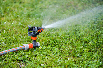 Naklejka premium Lawn sprinkler system and green grass meadow