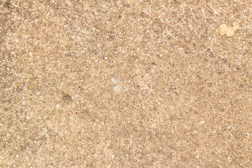 Fine Concrete Surface 