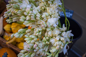 bouquet of flowers