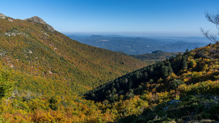 Fototapeta na wymiar Views of Natural park of Montseny in autumn.