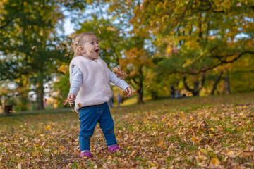 happy child with their dog black schnauzer enjoy play in autumn park