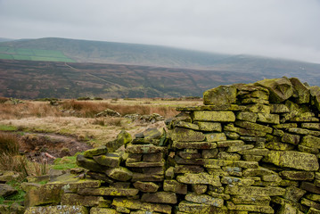 Stone wall and grass. The border between two fields. United Kingdom. 