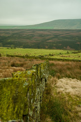 Stone wall overgrown by moss. Field in the Peak District National Park. 