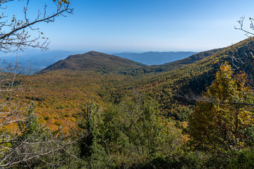 Views of Natural park of Montseny in autumn.