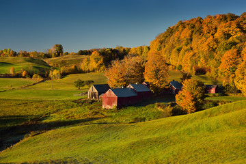 Rolling green fields at Jenne Farm in Reading Vermont at dawn with Fall foliage