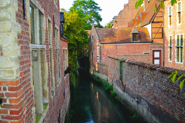 Fototapeta na wymiar Water Channel with Plants in a Convent of Nuns in Leuven