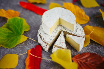Set of aged cheese in autumn leaves on dark background