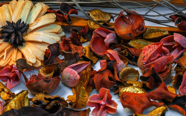 Composition of dried flowers, leaves and tree bark, on a white background. Flower perfume, aromatherapy.