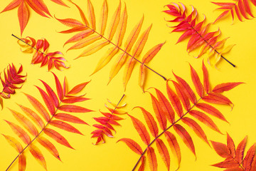 Fototapeta na wymiar Creative layout of colorful autumn leaves over yellow background. Top view. Flat lay. Autumn concept. Season pattern