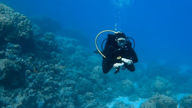 Diver moving along colorful coral reef, Red sea, Egypt. Full HD underwater footage.