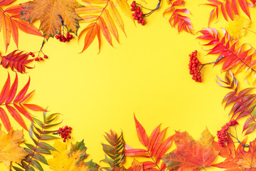 Creative layout of colorful autumn leaves over yellow background. Top view. Flat lay. Autumn concept. Season pattern