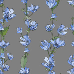 Floral seamless pattern with blue flowers Chicory, branch and  green leaves on gray background. Hand drown. For your design, textile, wallpapers, print, greeting. Vector stock illustration.