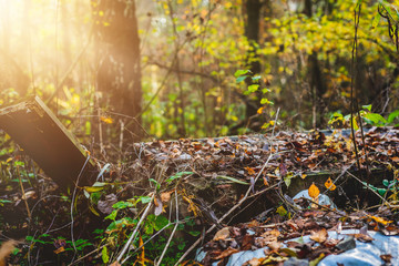 Littering the environment. Thrown garbage and objects in the forest by man. The concept of caring for nature, environmental protection. People littering the forest landscape.
